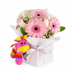 Pretty In Pink - Baby Girl 