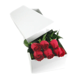 Valentines 6 Elegant Rose Box