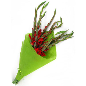 Gladioli Bunch