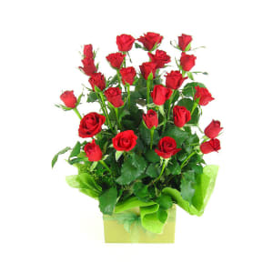 Red Rose Presentation Box