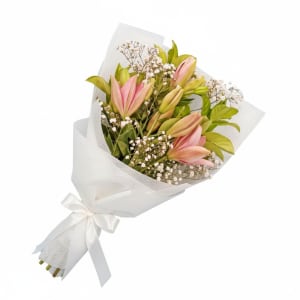 Lily Love 