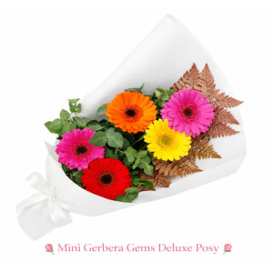 Mini Gerbera Gems Posy