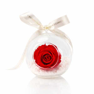 Preserved Red Rose Orb