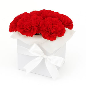 Little Flower Box - Red