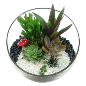 Sweet Sanctuary Terrarium