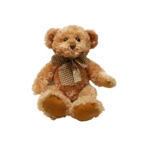 Teddy & Friends Theodore - Standard