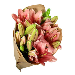 Lily Bunch