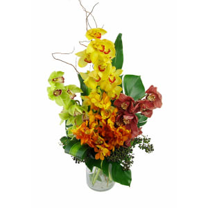 Mixed Orchid Vase