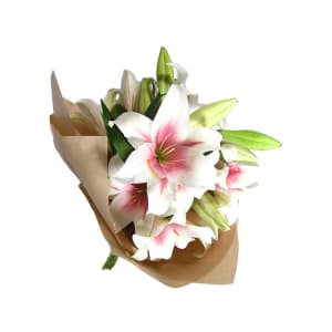 Xmas Lilies