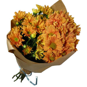 Chrysanthemums