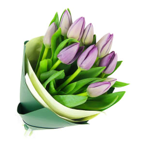 Purple Tulip Bunch