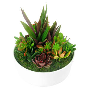 Superb Succulent Garden