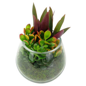 Looking Glass Terrarium 