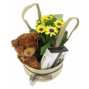 Beary Special 