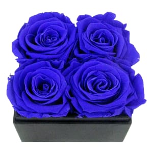 Electric Blue Rose Quartet