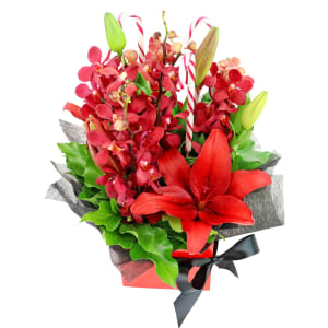 Making Christmas Magic - Red