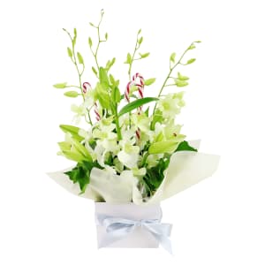 Making White Christmas Magic