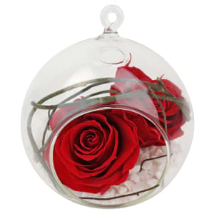 Preserved Red Rose Orb
