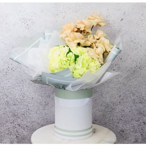 Magnae - Quicksand & Hydrangea