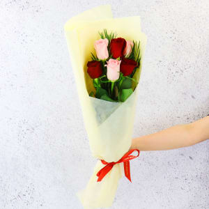 Pink and Red Roses