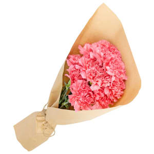 Market Bunch - Pink Carnations