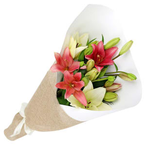 Mixed Pastel Lily Bunch