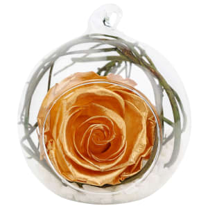 Preserved Gold Orb