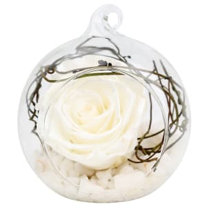 Preserved White Rose Orb