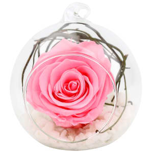 Preserved Pink Rose Orb