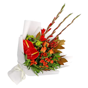 Red Romance 