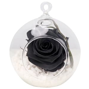 Preserved Black Rose Orb 
