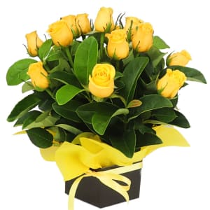 Roses for Tigers