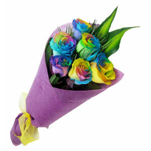 Rainbow Roses