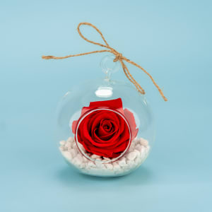 Preserved Red Rose Orb