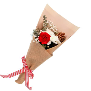 Christmas Cheer Posy 