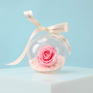 Preserved Pink Rose Orb 