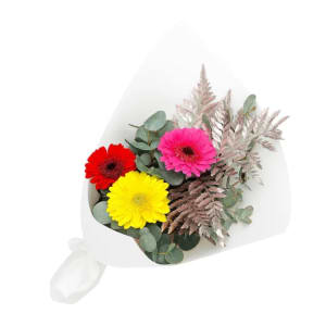 Mini Gerbera Gems Posy