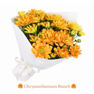 Chrysanthemum Bunch