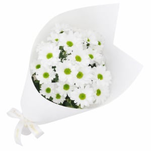 White Chrysanthemum Bunch