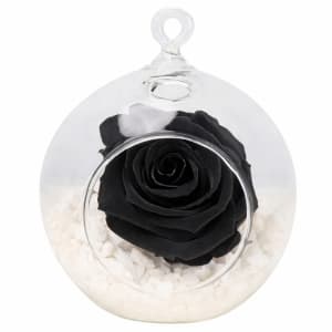Preserved Black Rose Orb
