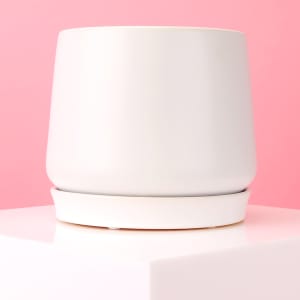 Large White Ceramic Loretto Pot - Standard