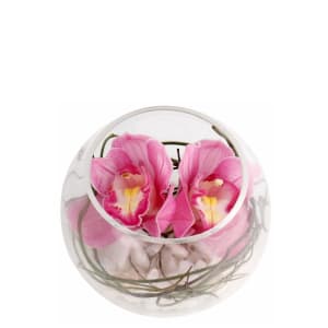 Pink Cymbidium Orchid Glass Fish Bowl Arrangement