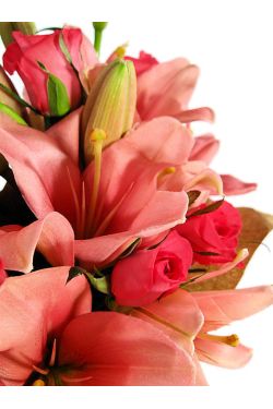 Lilies and Roses - Standard