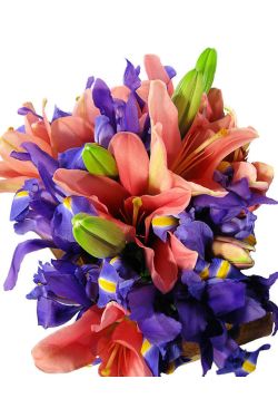 Lilies and Iris - Standard