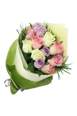 Pastel Roses - 12 Roses (One Dozen)