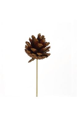 Rustic Pine Cone Pick  - Standard