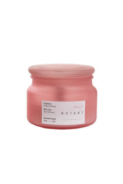Botany Jar Fresh Cut Peony  - Standard
