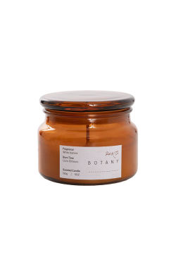 Botany White Jasmine  - Standard