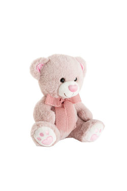 Sweetheart Teddy Bear  - Standard