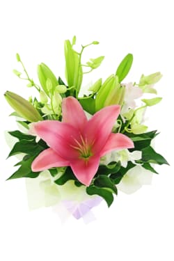 Making Magic Posy Box 